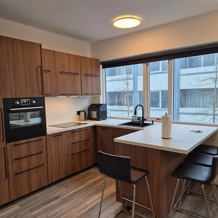 Perfectly Located Downtown Apartment Reykjavik